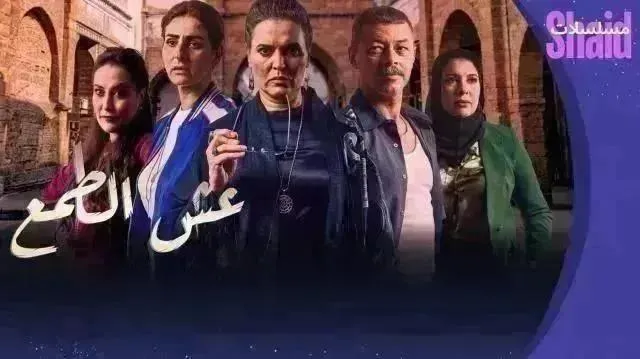 مسلسل عش الطمع الحلقة 24 الرابعة والعشرون